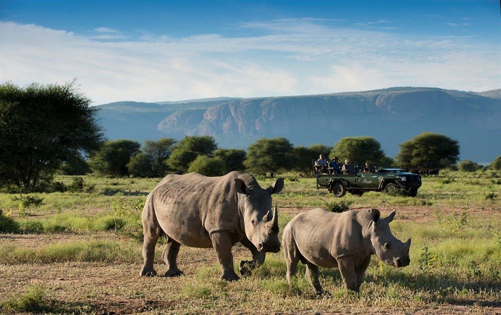 Marataba Safari Lodge Hartbeestfontein Ngoại thất bức ảnh