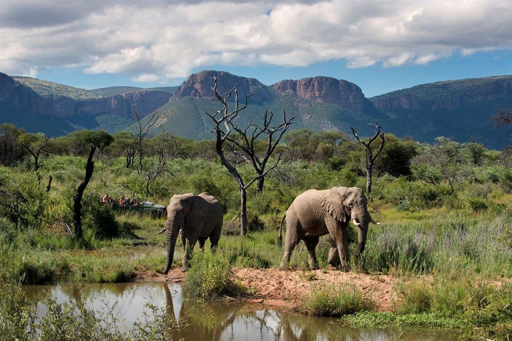 Marataba Safari Lodge Hartbeestfontein Ngoại thất bức ảnh